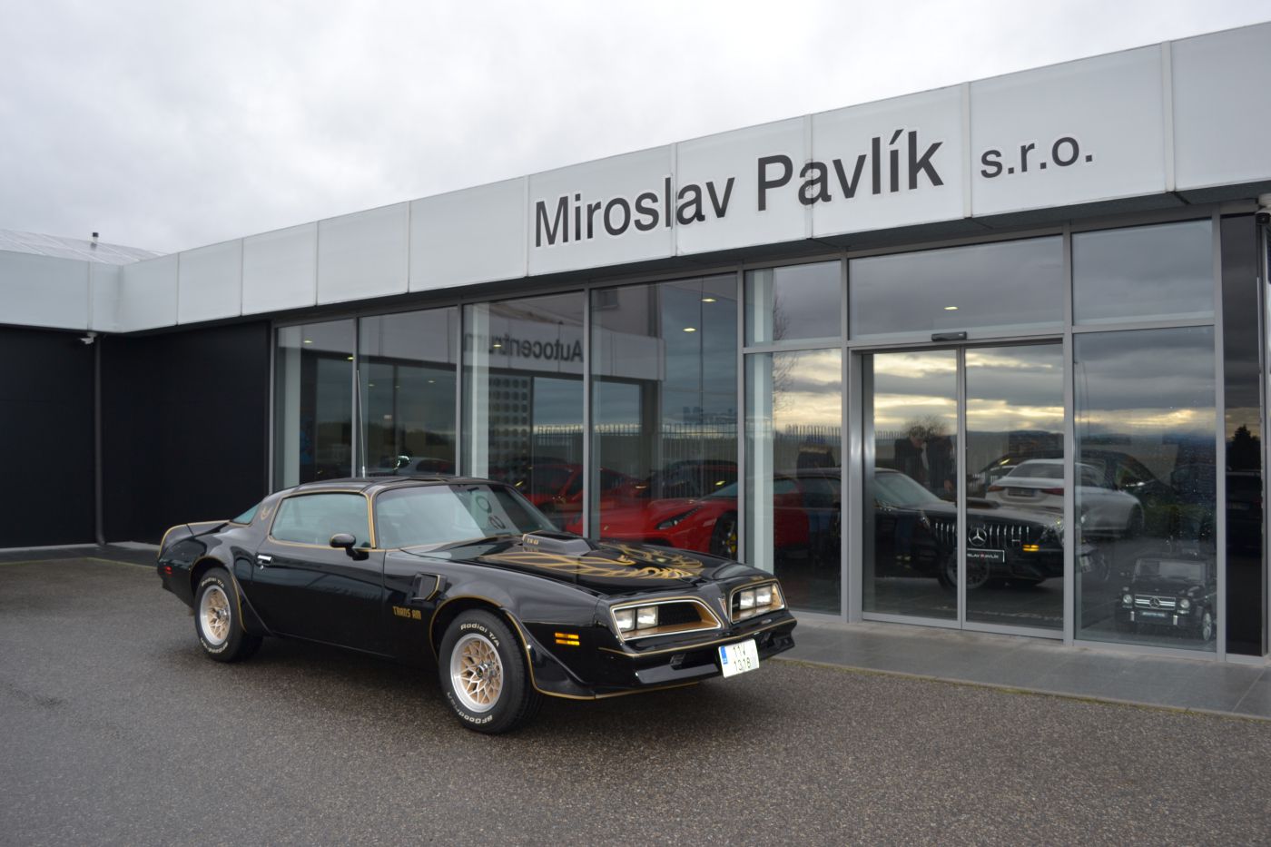 Pontiac TRANS AM Y82 BLACK BANDIT